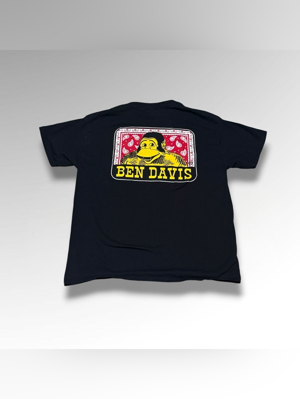 Ben Davis Paisley Logo Tee